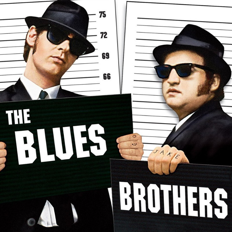 x BLUES BROTHERS HAT GLASSES SET SUNGLASSES FANCY DRESS