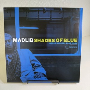 Madlib Shades of Blue | eBay