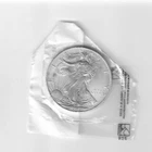 Walking Liberty Lady 2001 1 Oz Silver Dollar