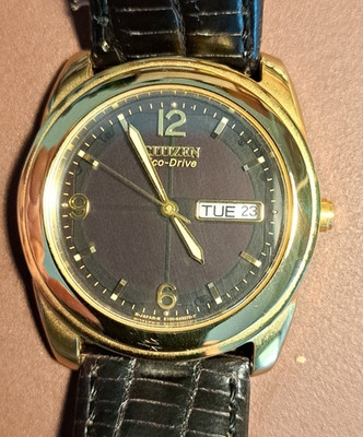 Citizen Eco-Drive E-100 H25721 K Men's Analog Dial Quartz Watch- Day of Wk/Mo