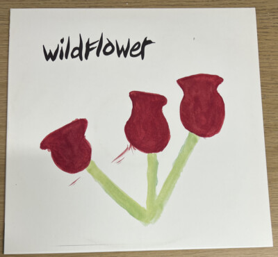 WILDFLOWER - Better Times Rare Splatter Vinyl 12'' LP 300 Copies (Ill Considered)