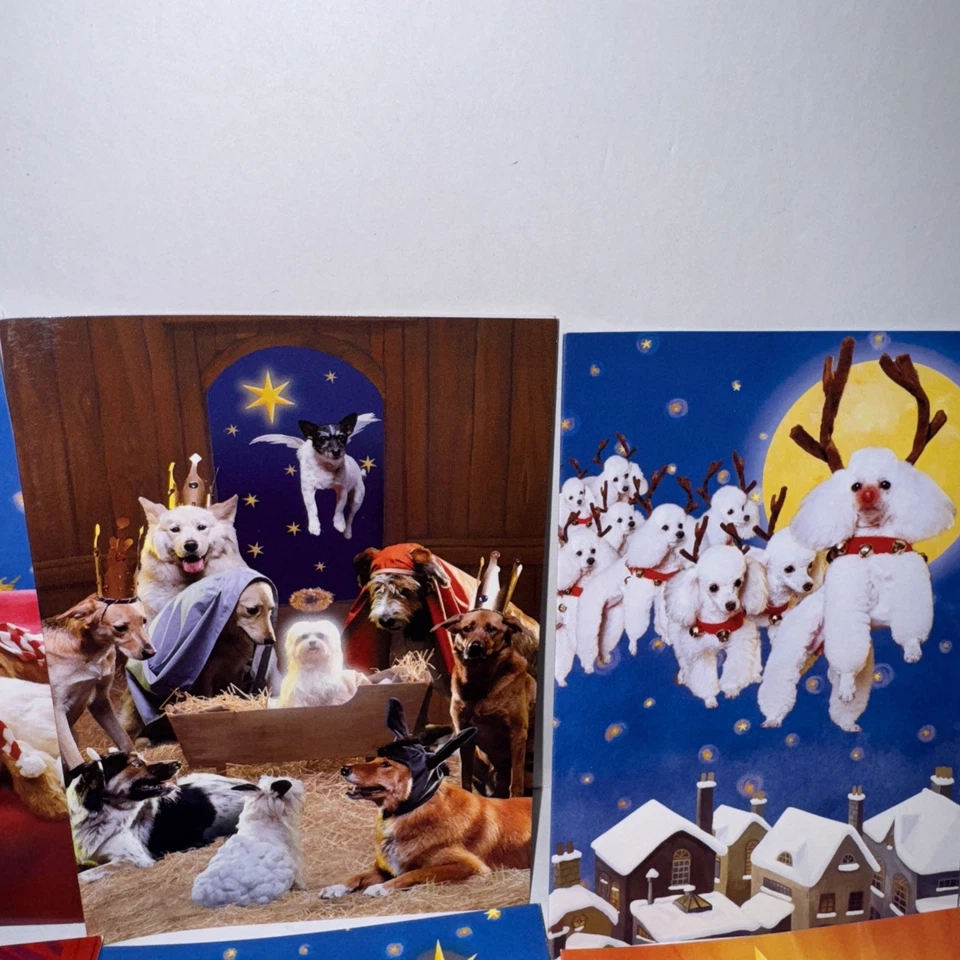 Avanti Press 12 Perros de Navidad 12 Días Tarjetas Nueva Caja Abierta Foto 4 de 4