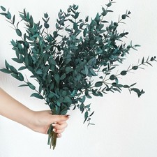 Dried Eucalyptus Leaves Preserved Greenery Stems, 8-14 PCS 2-blue