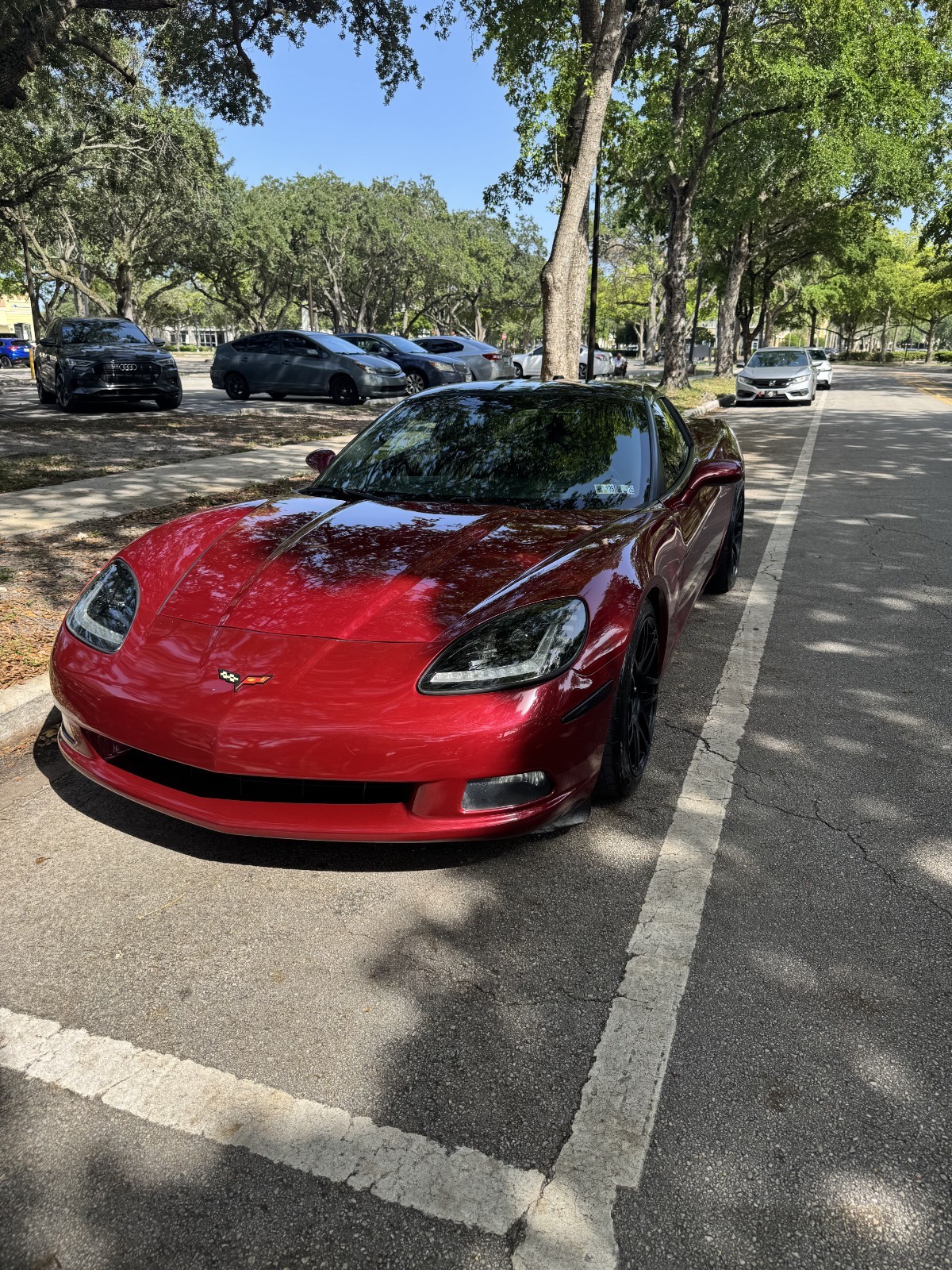 2005 Red Chevrolet Corvette   | C6 Corvette Photo 6