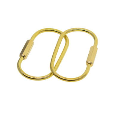 2 Stck. Ovale Form Schlüsselanhänger Schlüsselring BHs Schraube Verriegelung Schlüsselanhänger Halter Ringe