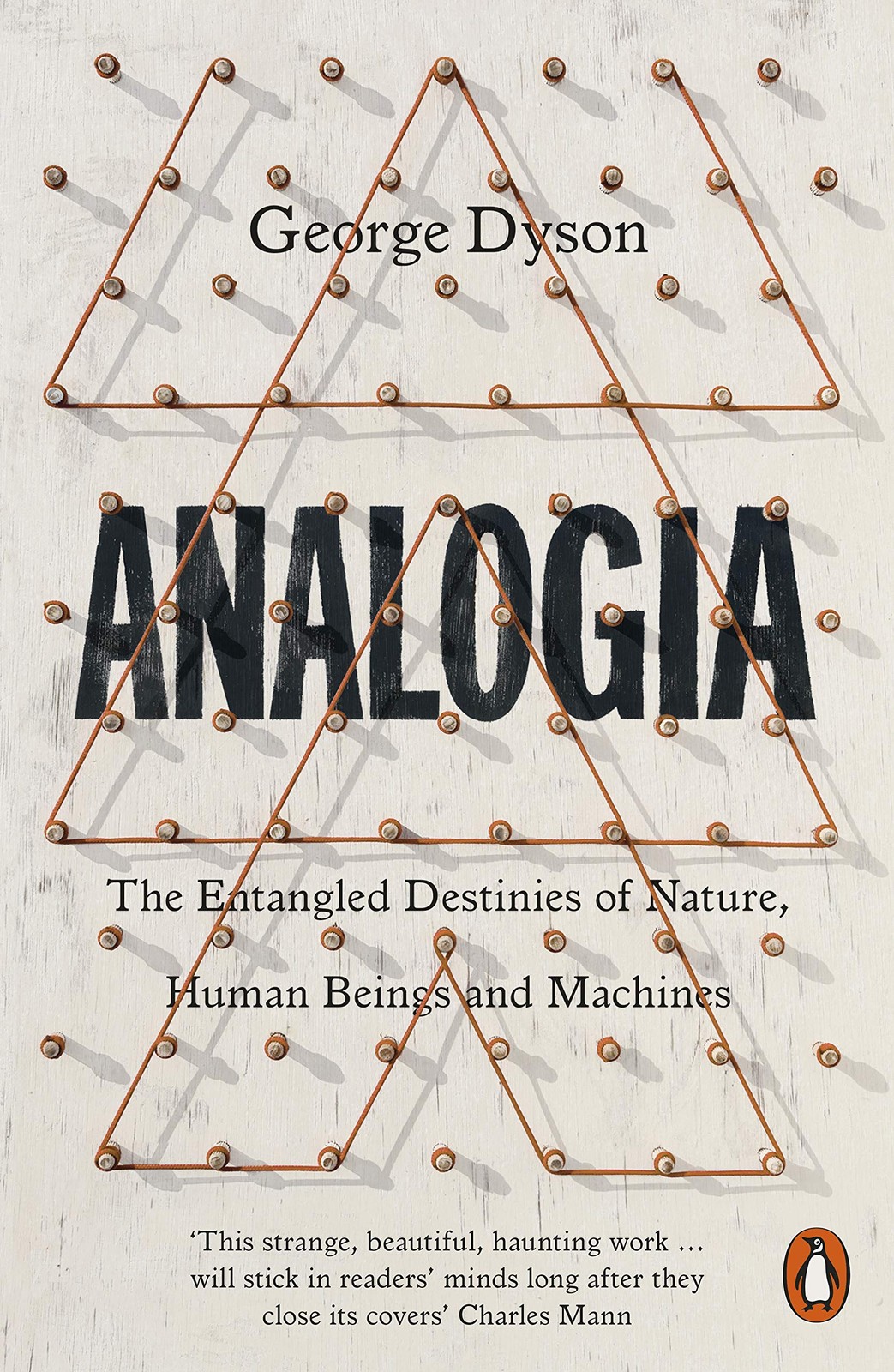 Analogia - Image 5