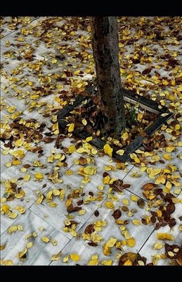 No Ground: A Surreal Plunge into the Unknown - Where Falling Never Ends by Tony 