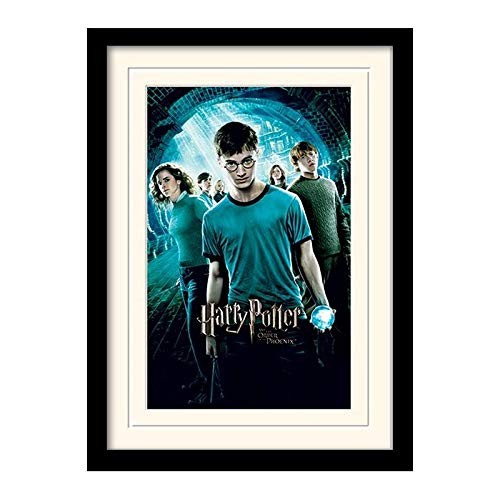 HARRY POTTER MP10687P-PL Gerahmtes Bild mit Passepartout mehrfarbig 30 x 40 cm 11190₽