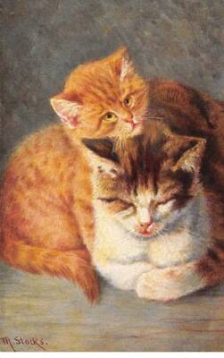 Animals - No. 85490 - Cat - Mr. Stacks - A Kitten Cuddling A Bear
