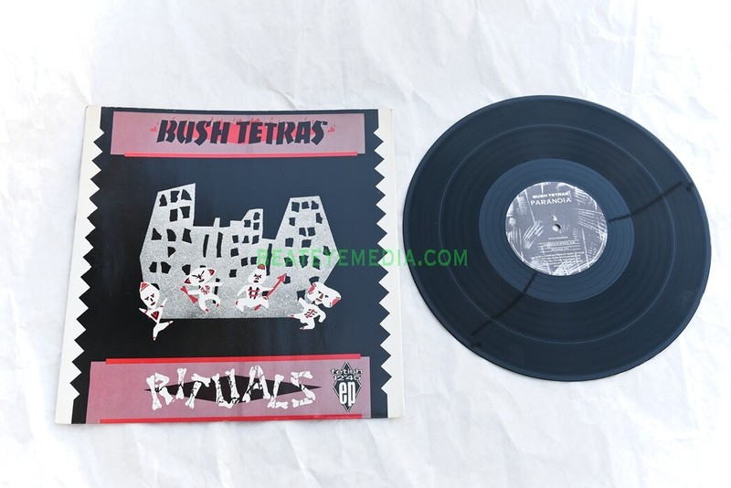 Bush Tetras,LP,Vinyl,RECORDS,Punk,Iggy,Alternative rock,New WAVE,GOTH,Pixies