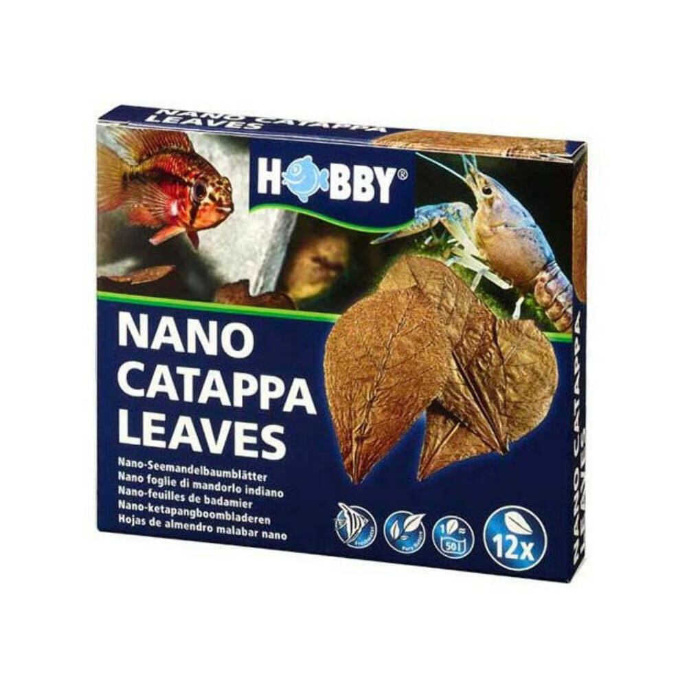 Hobby Catappa Leaves (x12)