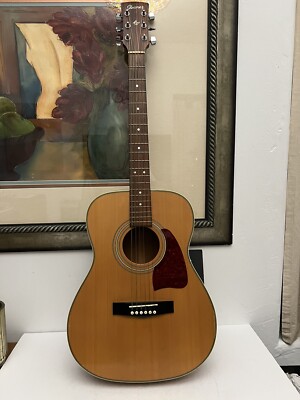 Ibanez AW, AC-100 Acustic Guitar | eBay
