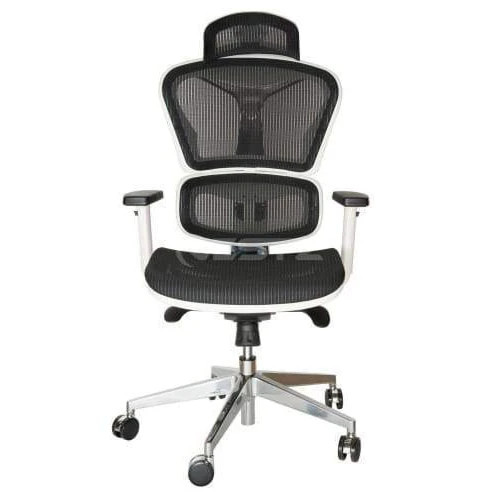 Ergohuman Replica Ergonomic Mesh Office Chair - White / Black - Picture 1 of 3