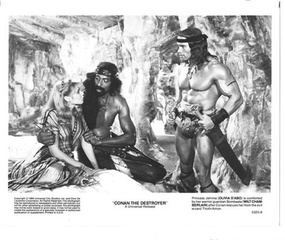 1984 CONAN THE DESTROYER Original Press Photo Arnold Schwarzenegger Wilt Chamber