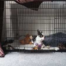 2 Pcs Porte De Cage À Chat Accessoire Pour Barrière Clôture Animaux