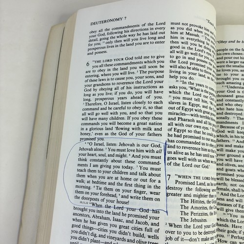 The Way: The Living Bible Illustrated, Tyndale 1972, 5th Printing READ - Picture 11 of 18