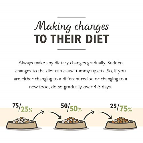 lily's kitchen wet puppy food