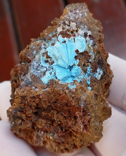 Shattuckite goethite and quartz - Tantara mine DRC Congo - Picture 3 of 12