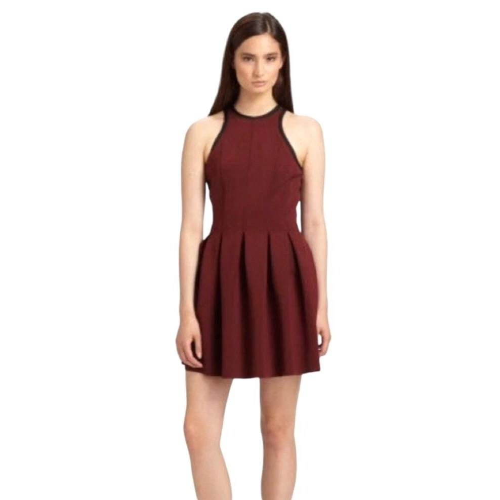 alexander wang skater dress