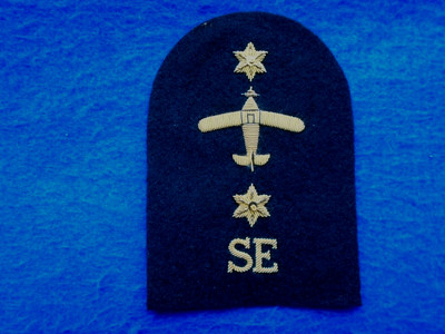 ROYAL NAVY FLEET AIR ARM LEAD RATE SURVIVAL EQUIPMENT BULLION ARM BADGE