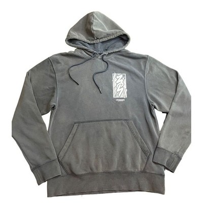 Nike Air Jordan Zion Hoodie Men S Williamson Let's Dance Dri Fit Gray Pull Over