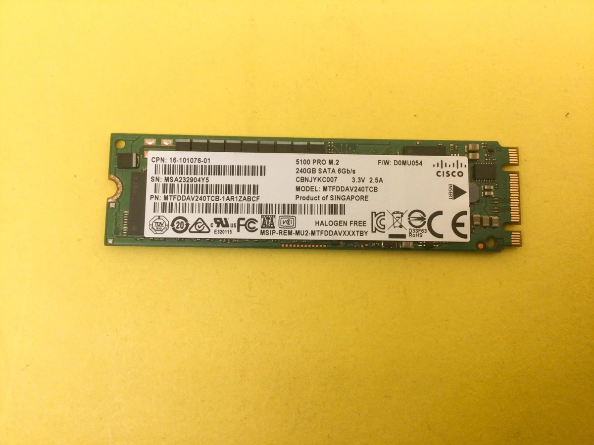Micron Solid State Drives SATA III 240 GB for sale | eBay