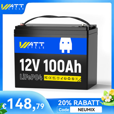 LiFePO4 Akku 12V 100Ah Lithium Batterie 100A BMS Solarbatterie Rasenmähern Boot