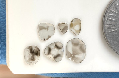 Slice Diamond Polki Fancy Trapiche 1+ct (6 pcs)