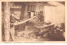 68 .n°106368. ricewihr. craft. vine. old Alsatian press.