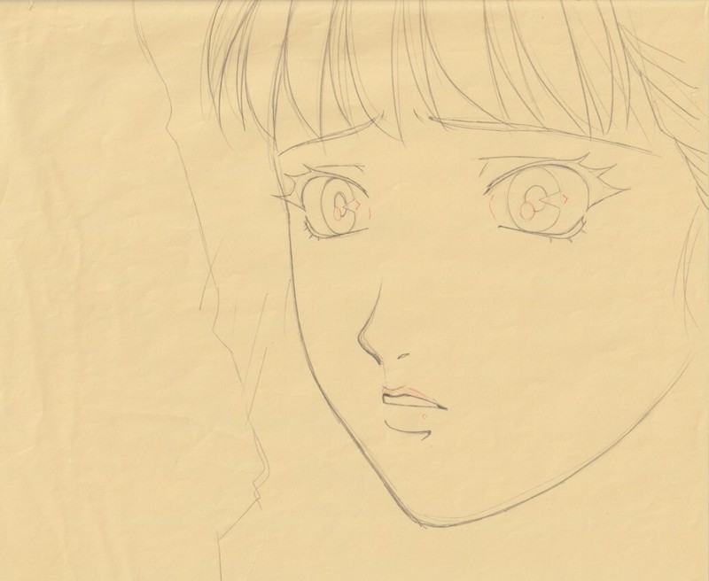 The Twelve Kingdoms Juuni Kokki Genga Douga Original Sketches Pierrot - Youko