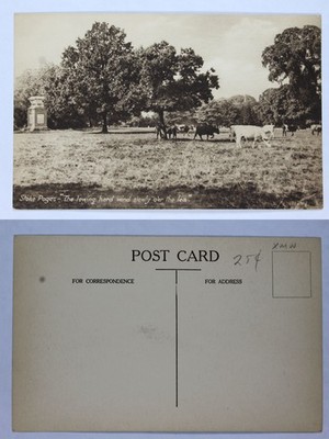 Vintage Postcard: 'The Lowing Herd Wind Slowly Over the Lea' Divided Back