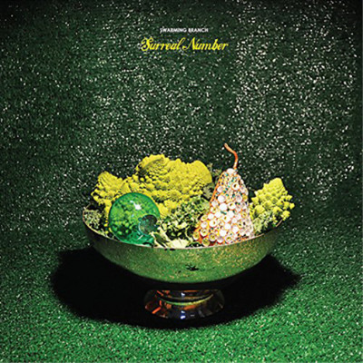 Swarming Branch Surreal Number (CD) Album