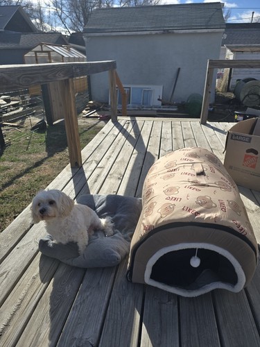 XXL Dog House & Cat Cave Bed – Large Bear Boba Tea Igloo – 2-in-1 Pet Nest