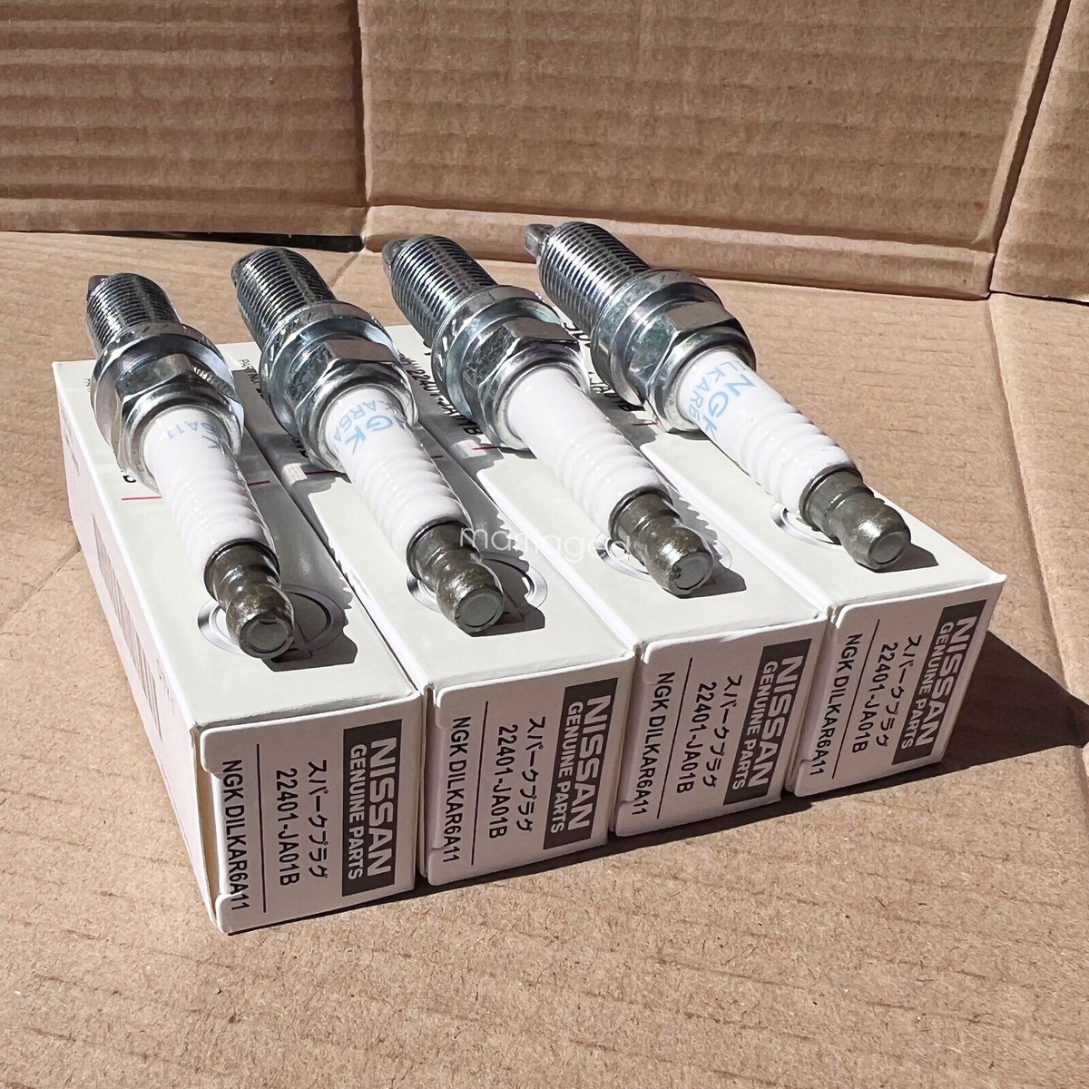 とっしー品 22401-Jk01d-Fxe24hr11-Double-