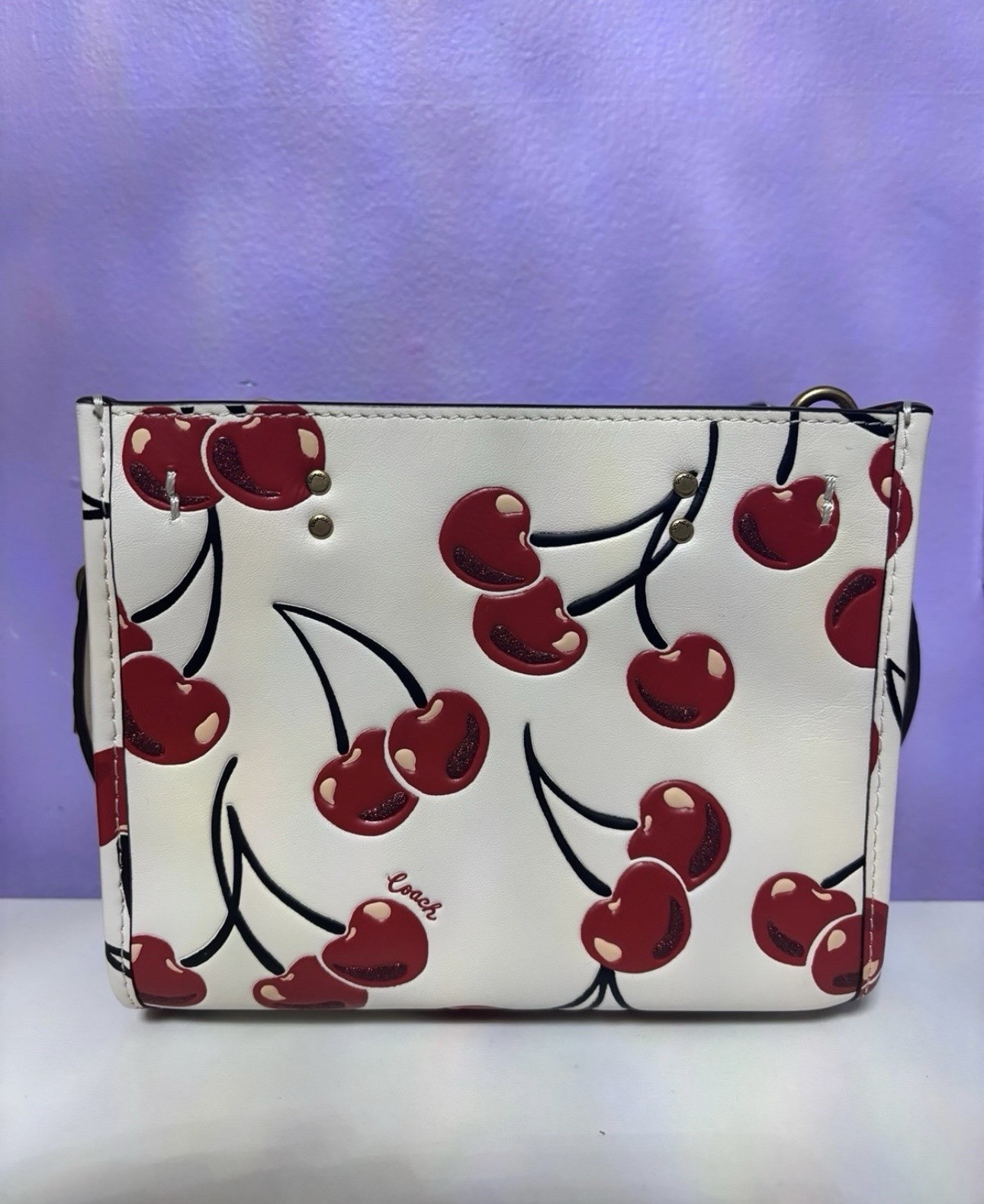 Coach Rogue 17 With Cherry Print
