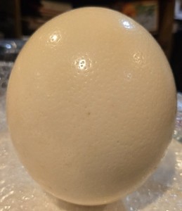 Vintage Ostrich Egg Shell