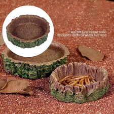 Small Reptile Food Dish Feeding Dish Easy to Clean Accessories Compact