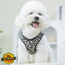 XS Dog Harness Leash Set, No Pull, Black, Adjustable, Reflective Vest