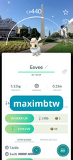 Shiny Eevee Explorer Hat - Safari Buenos Aires Background Pokemon GO