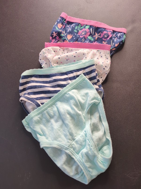 4pc/$6 Girls Underwear Bundle 2t/3t