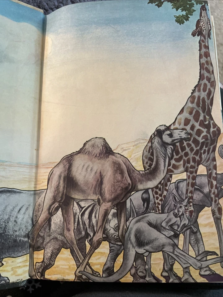 JUST SO STORIES By Rudyard Kipling Vintage Book (1912, HC/DJ, Library Edition) - Image 4 of 4