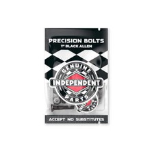 Independent Genuine Parts 1 in Allen Skateboa...