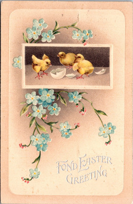 Fond Easter Greeting Yellow Chicks Flowers Embossed Postcard Posted 1911