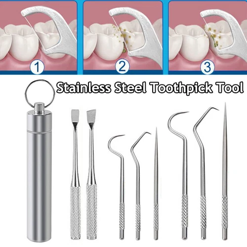 Toothpick Set Metal Stainless Steel Oral Cleaning Tooth Flossing Portable Floss.