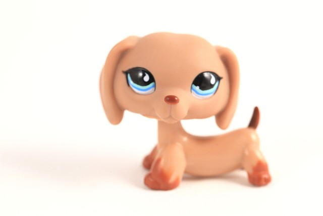 lps girl dogs
