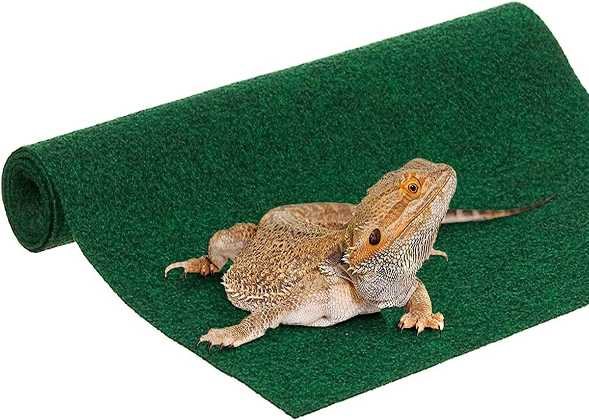 Reptile cage carpet sales