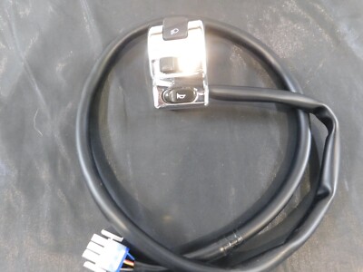 INDIAN MOTORCYCLE CHIFE 99-01 SCOUT/SPIRIT 00-03 LEFT SWITCH ASSY.  GILROY