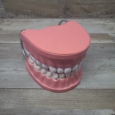 Vintage Giant tooth teeth brushing dental edu...