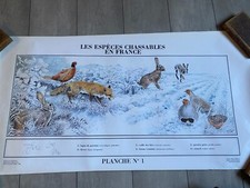Pack complet 12 planches - espèces chassables en France sous étui - 100x50cm