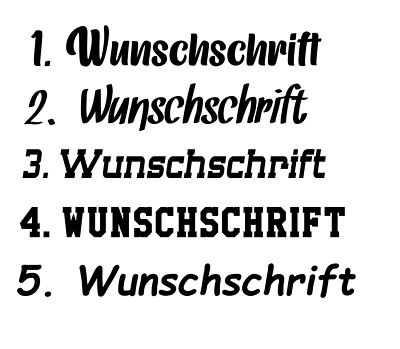 Wunschschrift Wunschname Fahrrad Auto Wetterfest Name Sticker Fahrzeugaufkleber